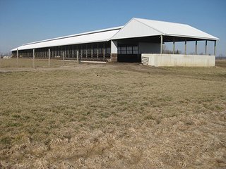 Property photo 15 - 116 +/- Acres Offered in 4 Tracts - Land & Cattle Facility Auction